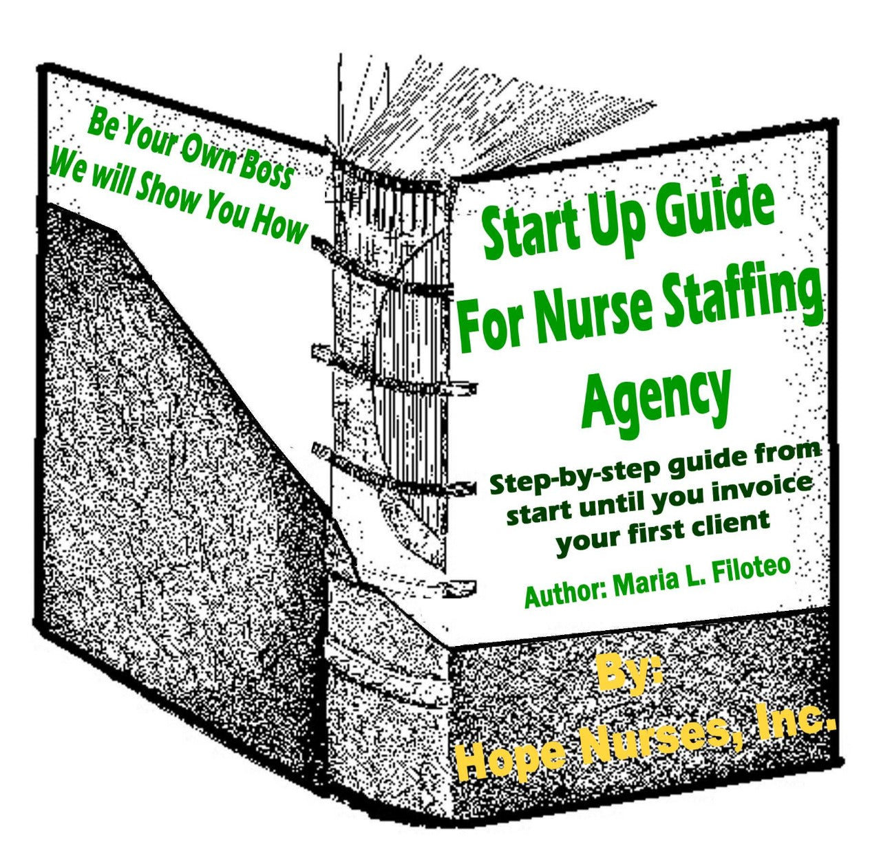 START UP GUIDE FOR NURSE STAFFING AGENCY – Whole Volume 1 Package (A $570 Value – Now 50% Off!)